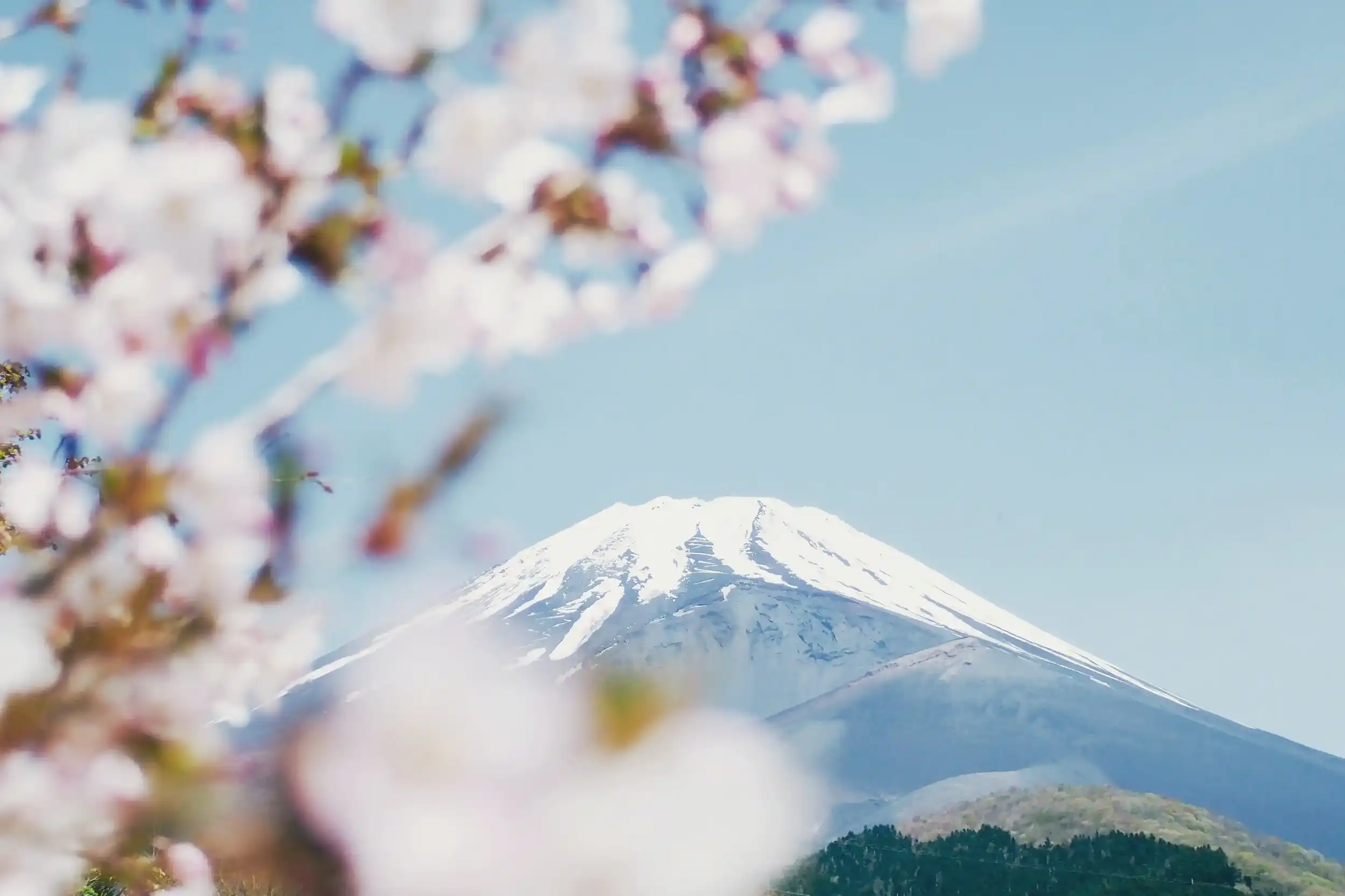 私たちが大切にすること